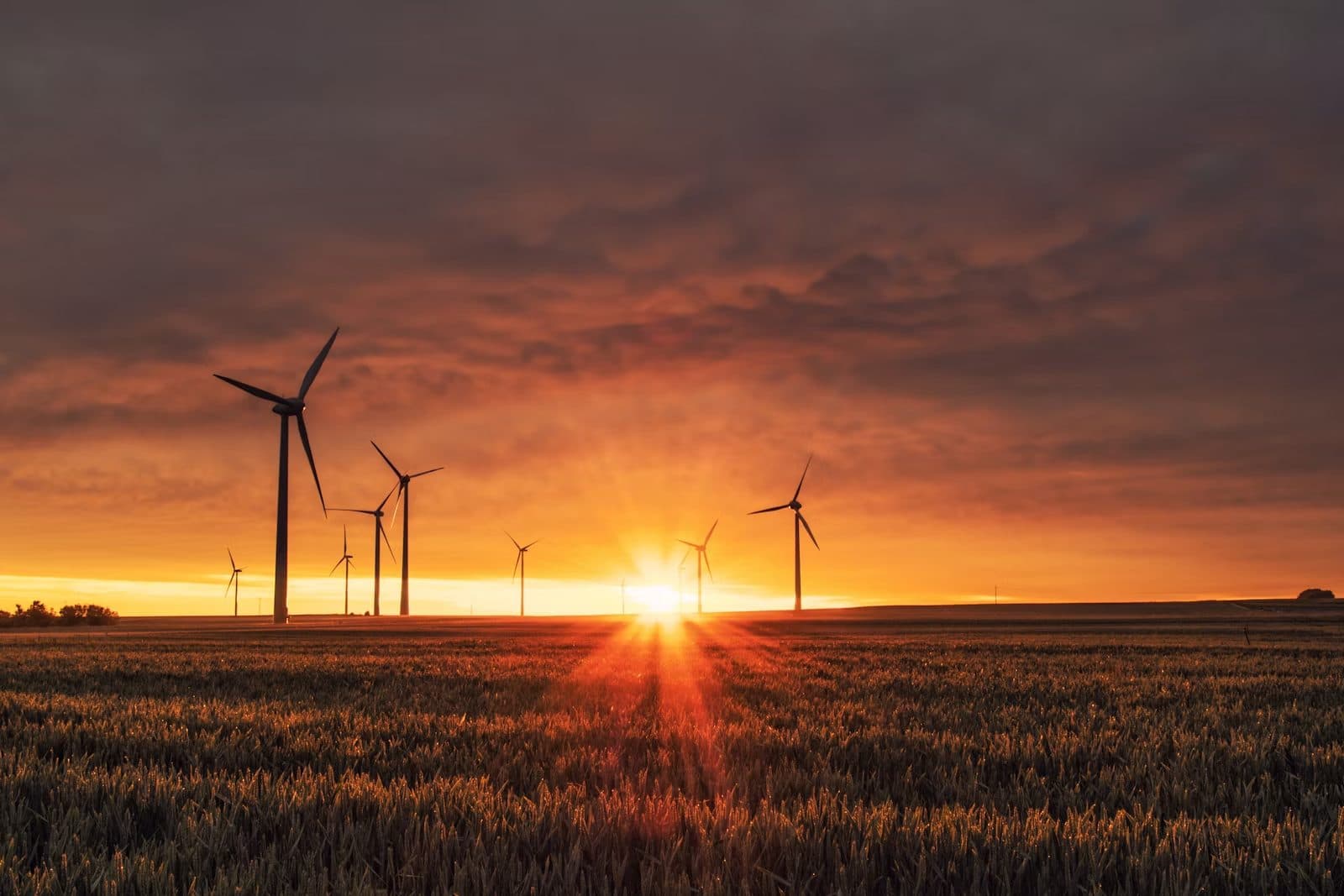 Wind turbines on a green coastal landscape